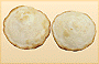 Belly Better Muffins