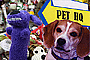 Pet HeadQuarters
