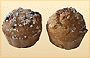 Poochy's Pumpkin Muffins