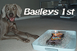 Bagley's 1th