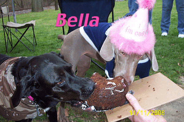 Bella's Birthday Party