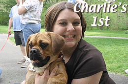 Charlie's 1st Birthday