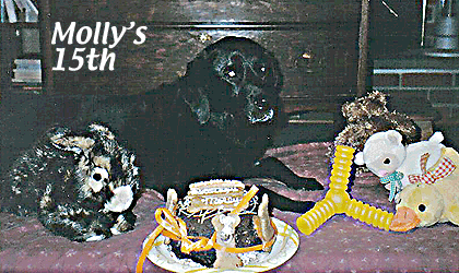 Molly's 15th
