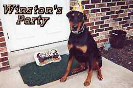 Winston's Party